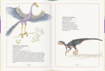 Kindersachbuch: Triceratops, T-Rex, Supersaurus