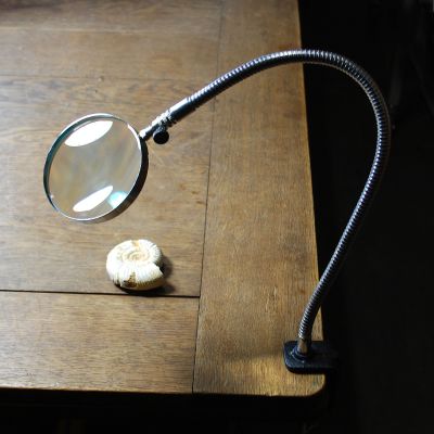 Table Clamp Magnifier, 4.5x with Goose Neck