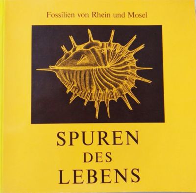 Spuren des Lebens - Fossilien von Rhein und Mosel