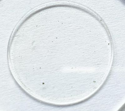Synedra ulna, freshwater diatoms