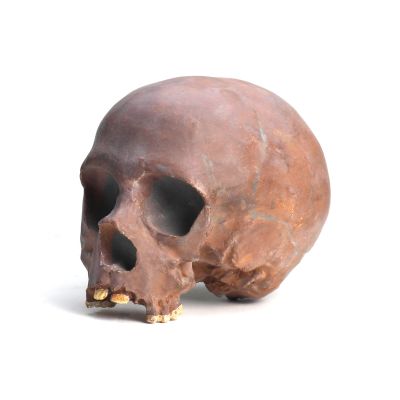 Homo neanderthalensis - Casts
