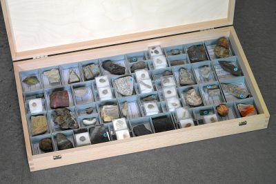 Stratigraphische Lehrsammlung M: 100 Fossilien im Holzkasten
