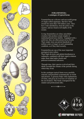 Foraminifera: a catalogue of typical forms