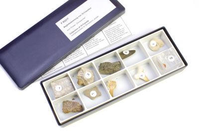 Posterbegleitsammlung von 10 Fossilien zu B92217