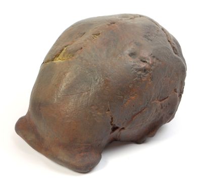 Homo erectus pekinensis - Sinanthropus I (Cast)