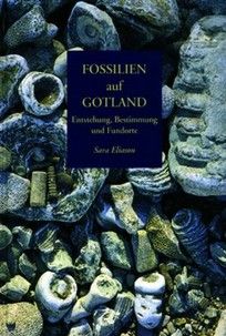 Fossilien auf Gotland