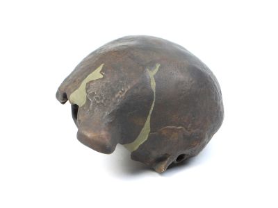 Homo erectus erectus, Sangiran II (Cast)