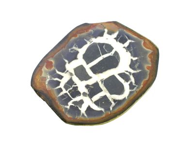Septarian (approx. 5-6 cm)