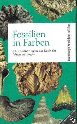 Kirkaldy: Fossilien In Farbe (Ravensburger)
