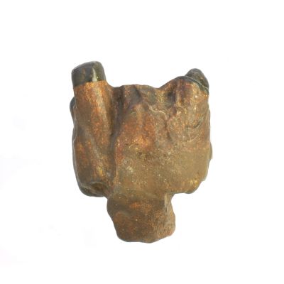 Dryopithecus pilgrimi, Maxille (Abguß)