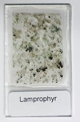Dünnschliff "Lamprophyr"