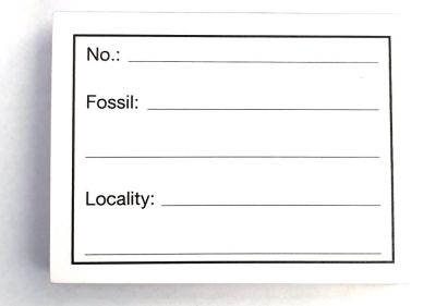 Etikettenblock für Fossilien (100 Blatt) englisch
