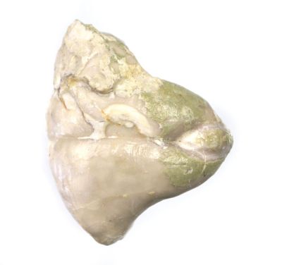 Pygope, Cretaceous, ESP