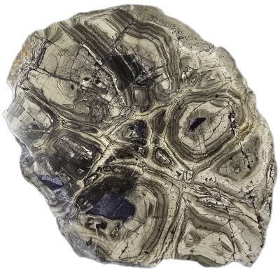 Schalenblende (poliert), BE