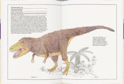 Kindersachbuch: Triceratops, T-Rex, Supersaurus