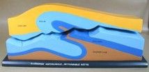 Geomorphological Model "recumbent anticline"