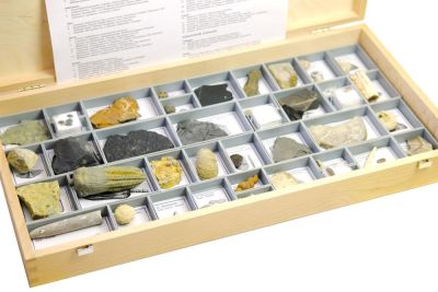 Erweiterte Einführungssammlung: 40 Fossilien im Holzkasten