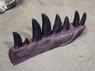Tyrannosaurus rex (Zahnreihe)