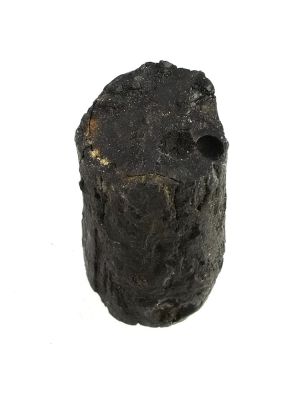 Fossiles Koniferenholz (4cm)