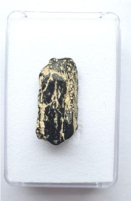 Knorpel- oder Knochenstück, Miozän,Tourraine, FR