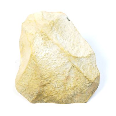 Cast: Quartzite scraper Neandertal