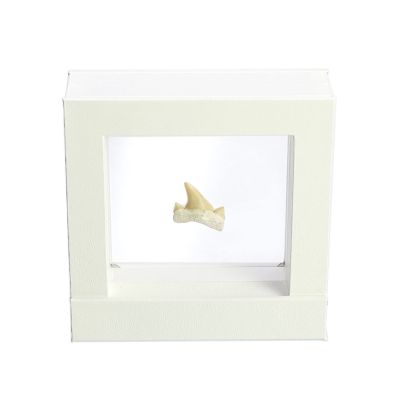 White floating frame with shark tooth