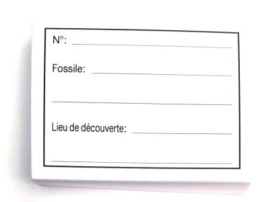 Etikettenblock für Fossilien (100 Blatt) französisch