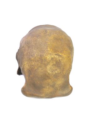 Homo soloensis, Ngandong XI