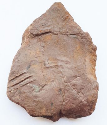 Tetrapoden- Trittsiegel, Perm, Frankreich