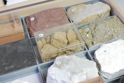Collection: 20 sedimentary rocks (90x120 mm)