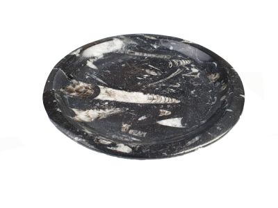 Decorative plate, orthocerene limestone