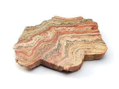 Stromatolith ( ca. 3 x 8 cm)