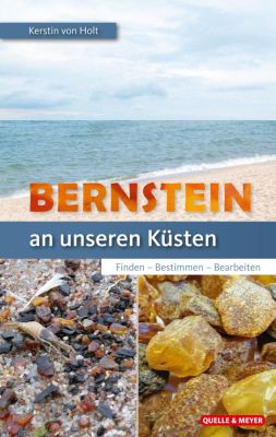 Bernstein an unseren Küsten