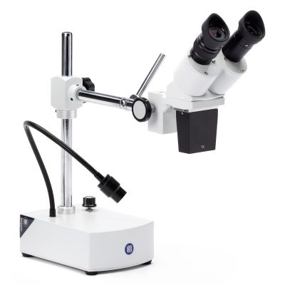 Euromex Stereomicroscope "BE-50 LED", 10x and 20x magnification, flexible LED light