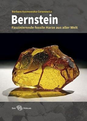 Bernstein - Faszinierende fossile Harze aus aller Welt