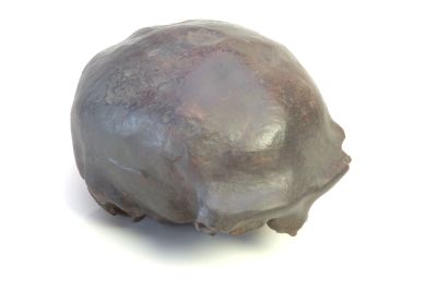 Homo erectus, Ngandong VI - Cast