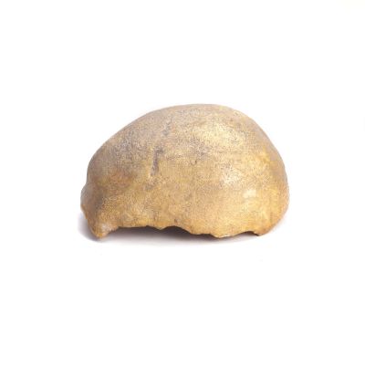 Homo sapiens fossilis, Brünn I