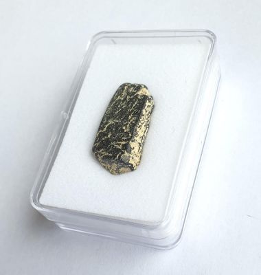 Knorpel- oder Knochenstück, Miozän,Tourraine, FR