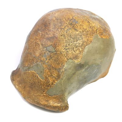 Homo neanderthalensis, Spy I (Schädeldach, männlich)