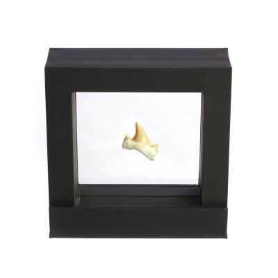 Black floating frame with shark tooth