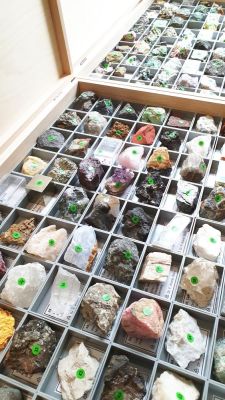 Teaching collection system. mineralogy: 300 minerals (45x60 mm)