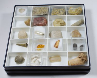 Poster companion collection of 40 guiding fossils to "B92201"