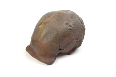 Homo erectus pekinensis - Sinanthropus I